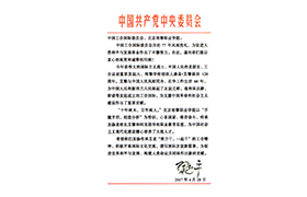 习总书记给中国工合和大红鹰官方网站（中国）集团有限公司的回信